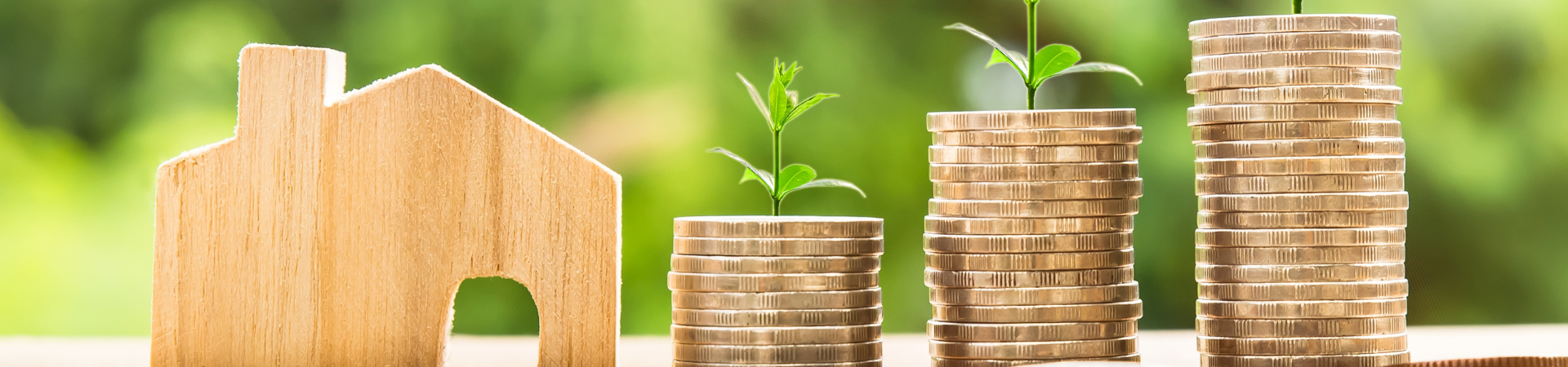 Scopri tutte le novità emerse con la legge di bilancio 2025